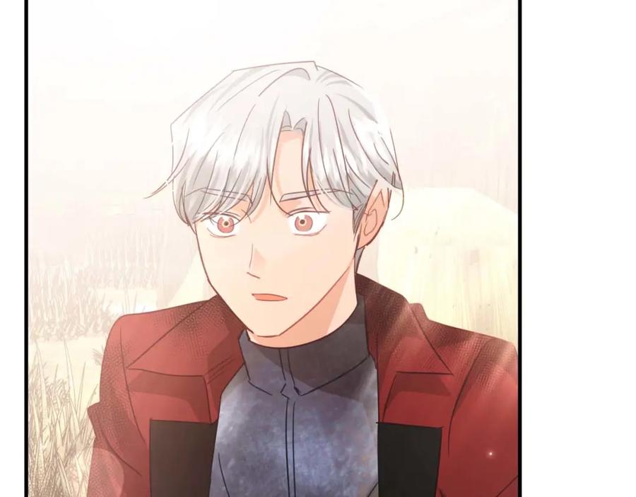 第238页
