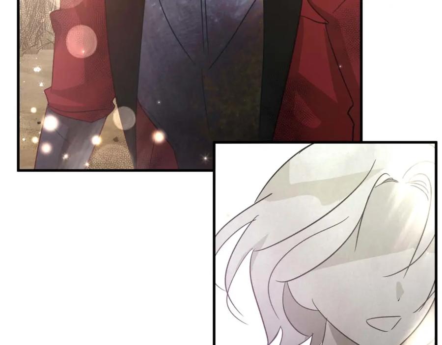 第239页