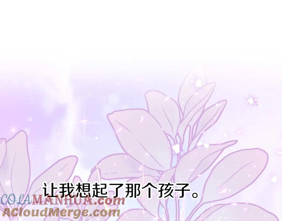 第241页