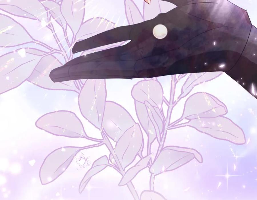 第243页