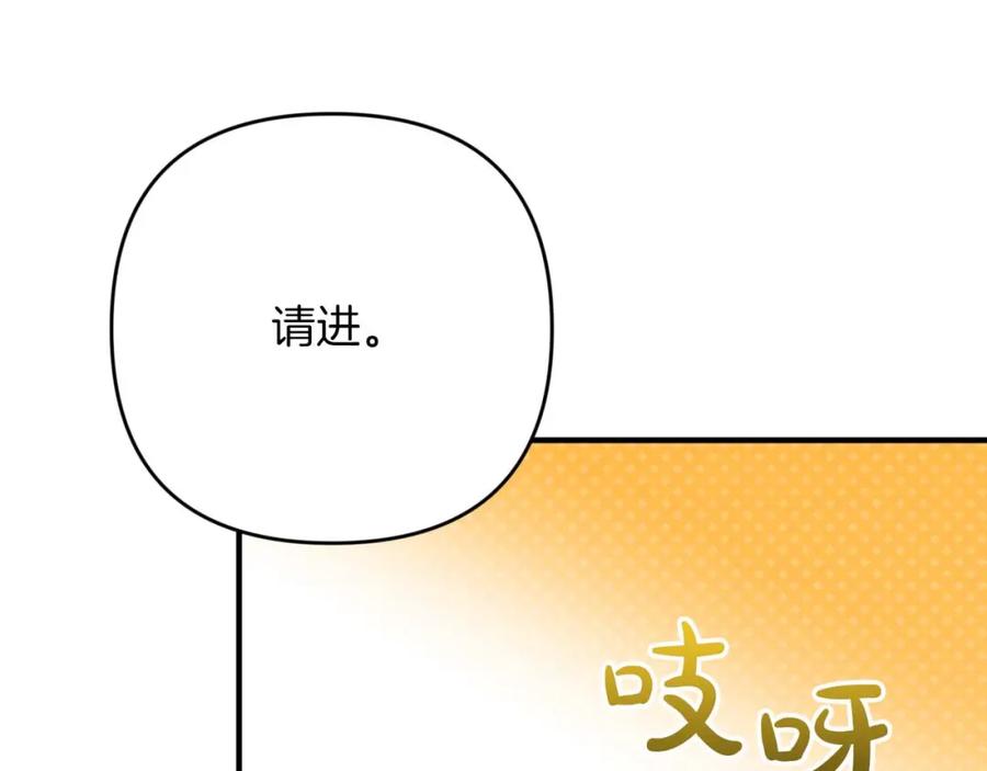 第223页
