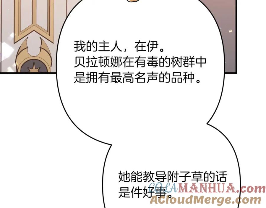 第233页