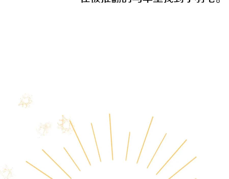 第242页