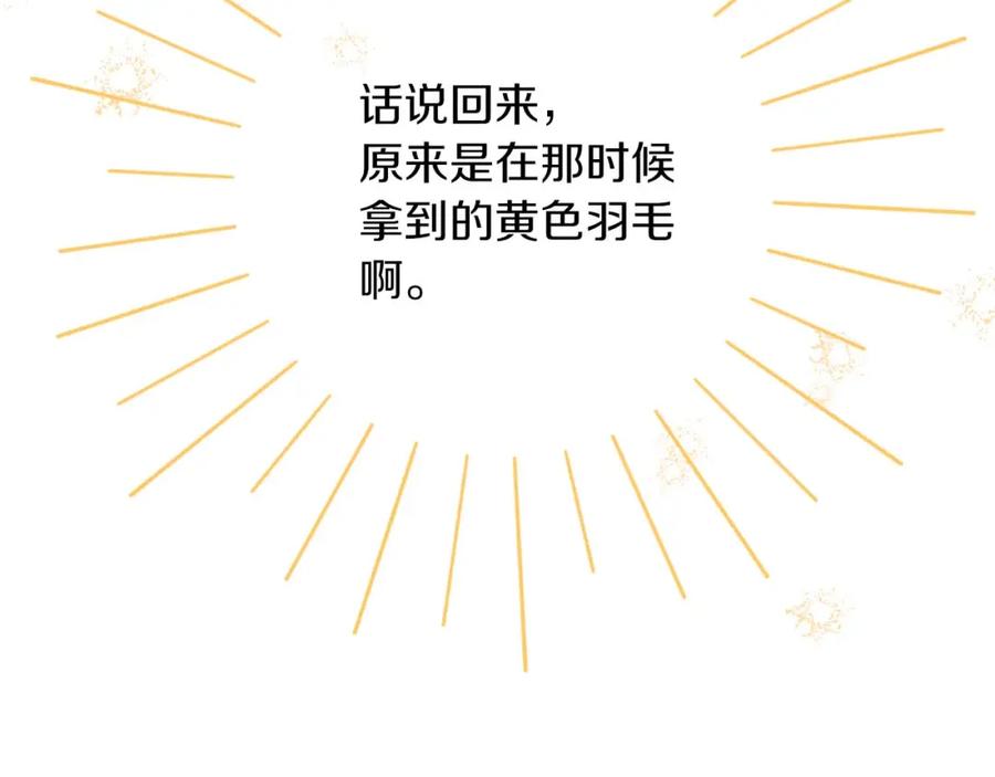 第243页