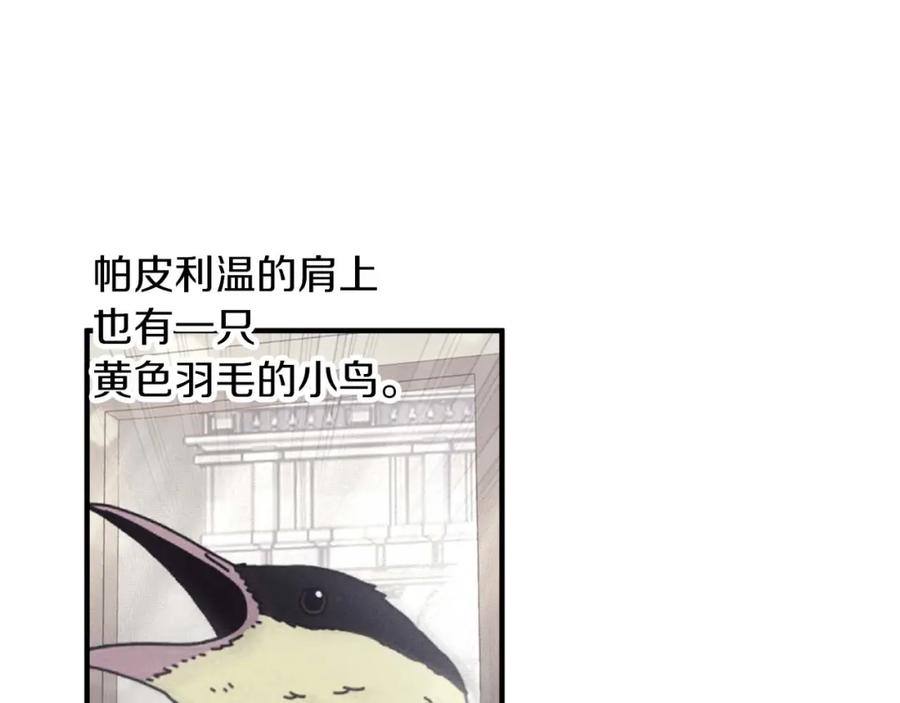 第244页