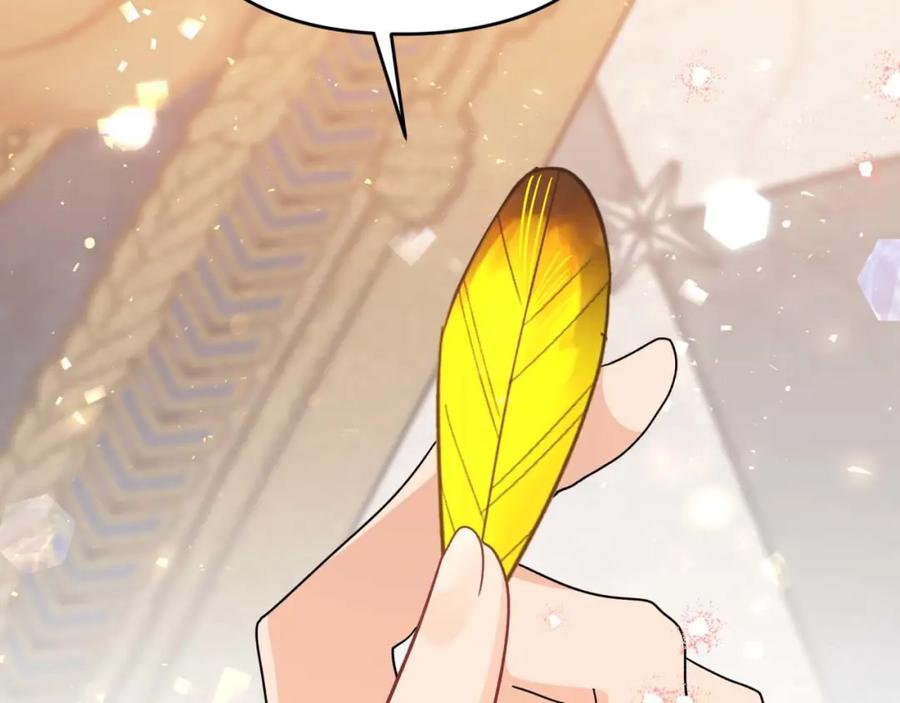 第255页