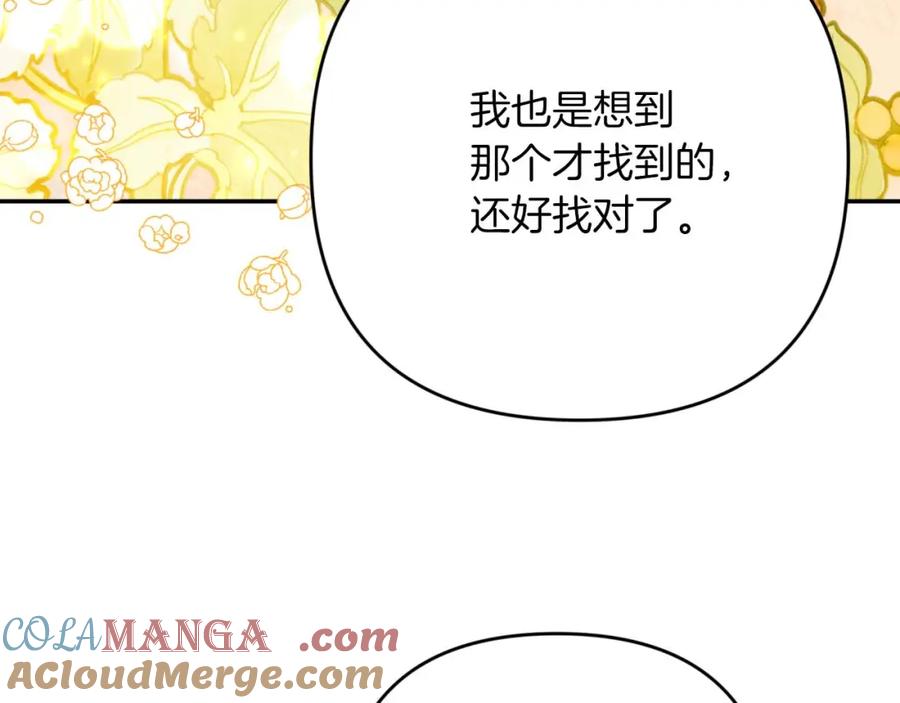 第213页
