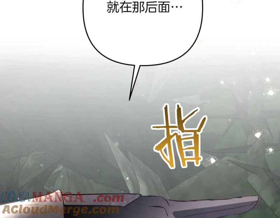 第217页