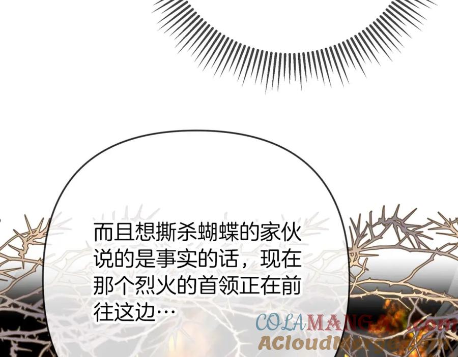 第221页