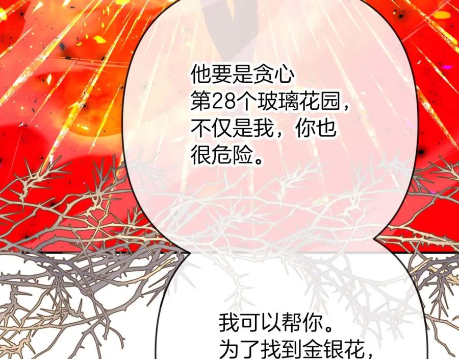 第224页
