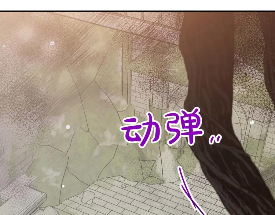 第223页
