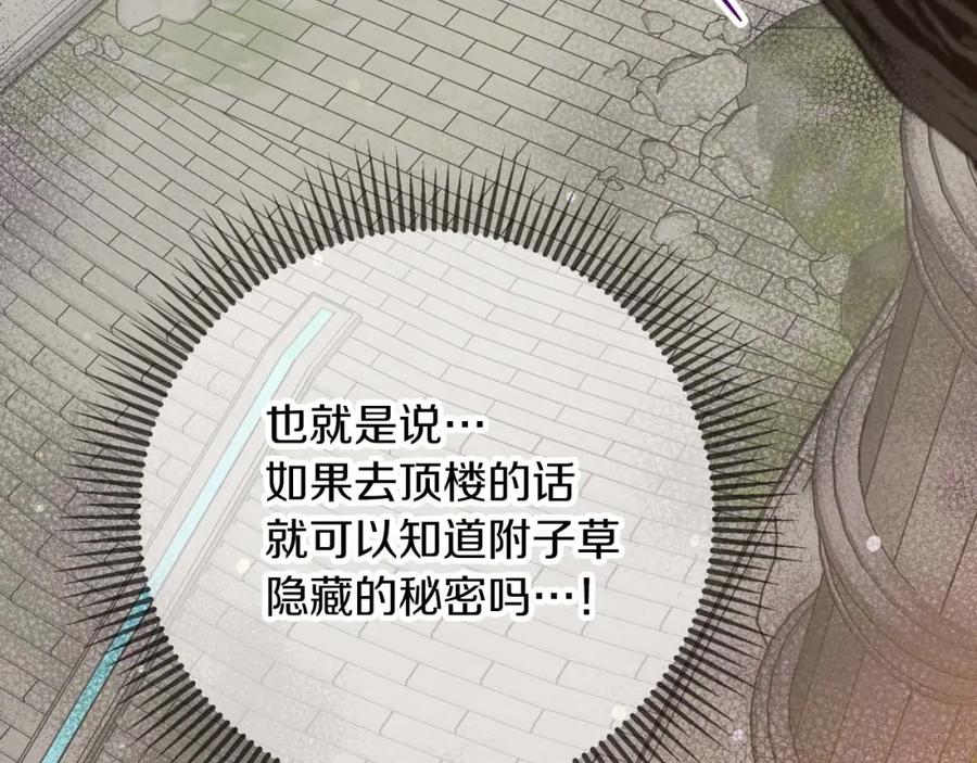 第224页