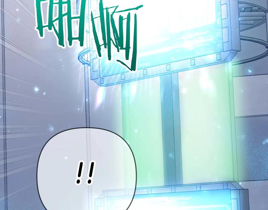 第206页