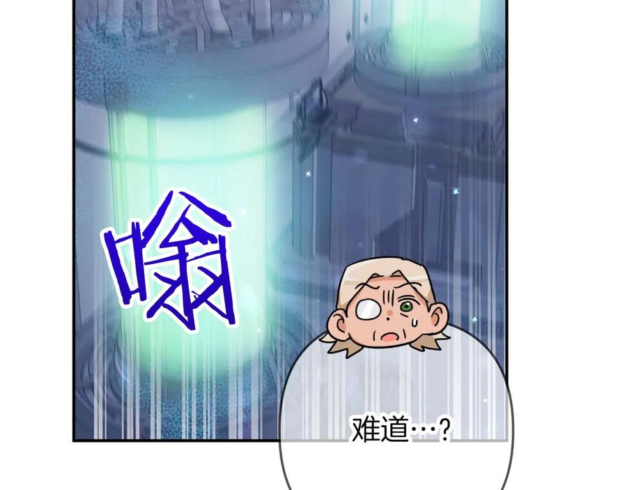 第219页