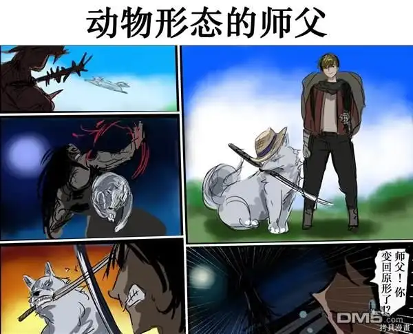 第6页