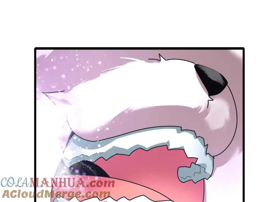 第206页