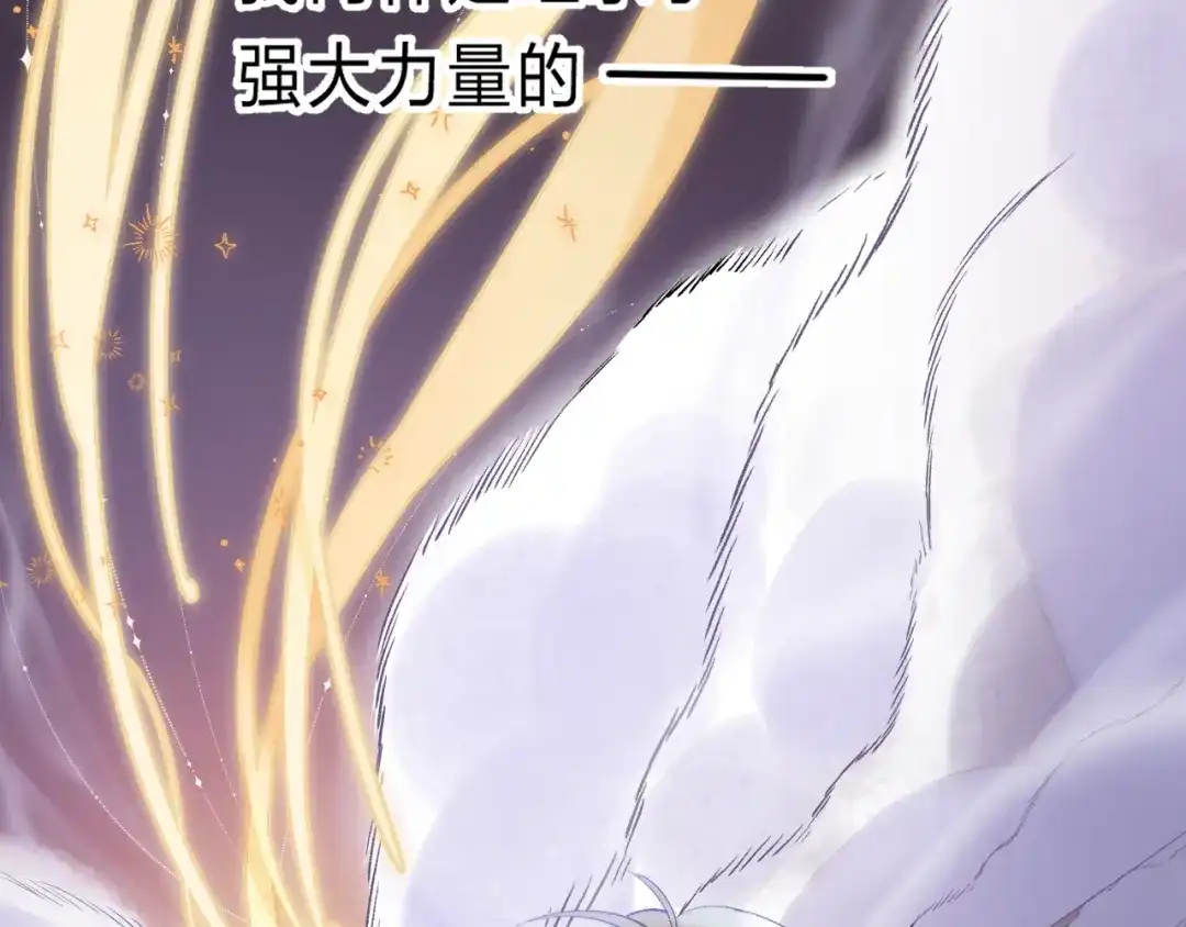 第224页