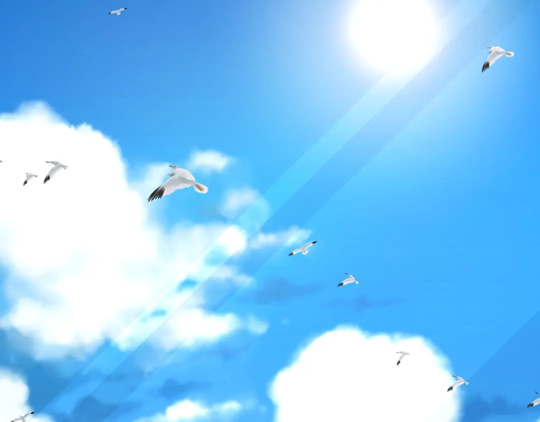 第159页