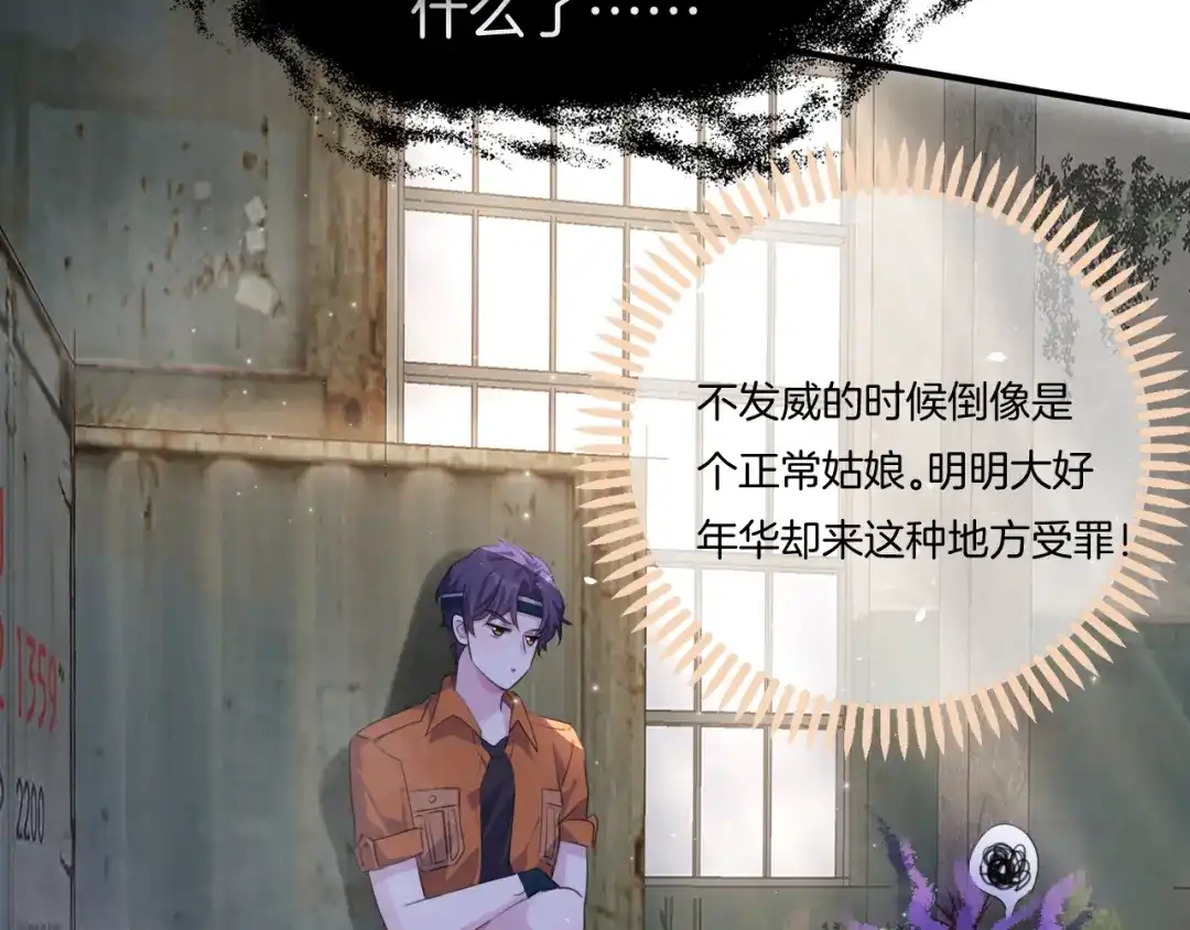 第217页