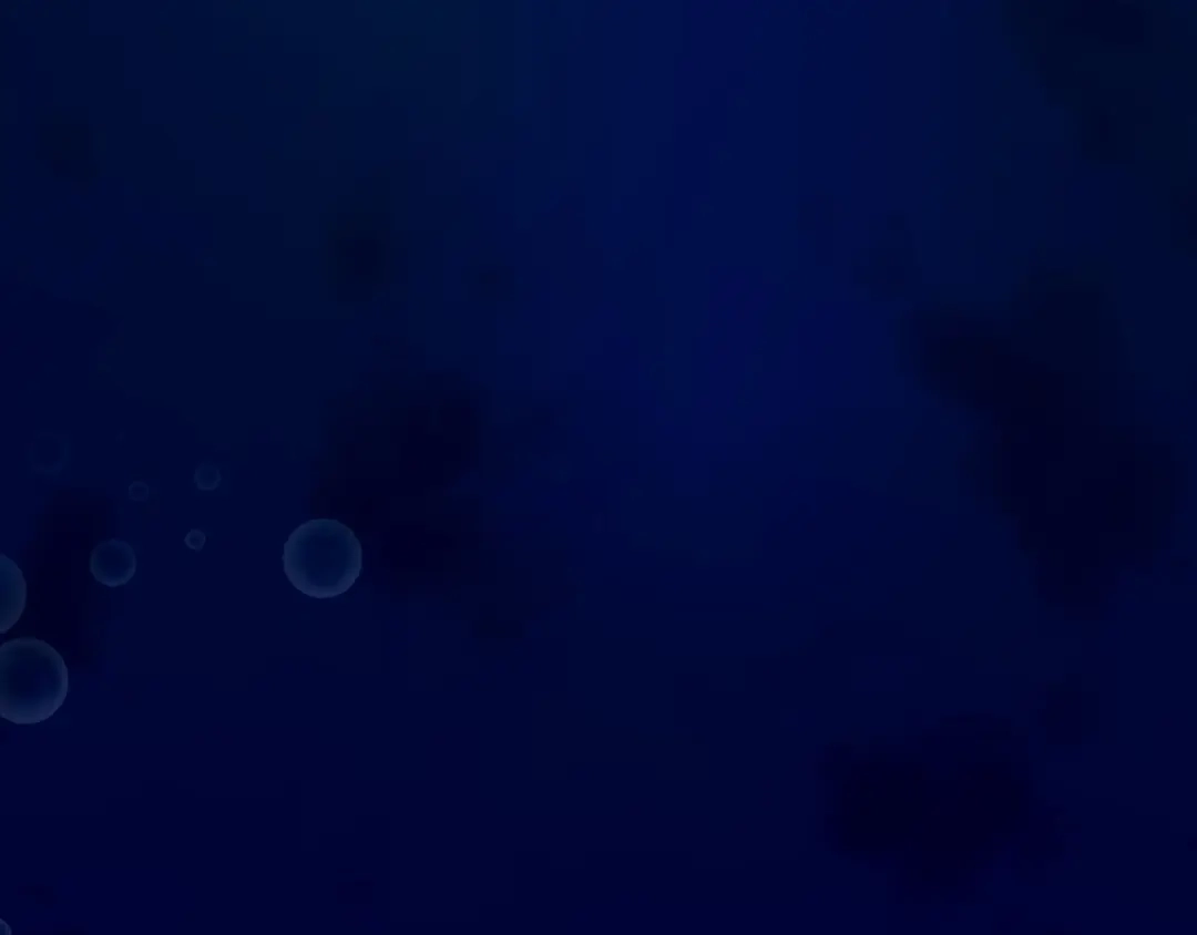 第464页