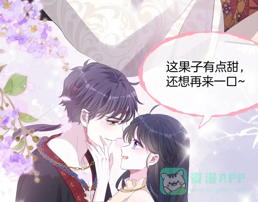 第242页