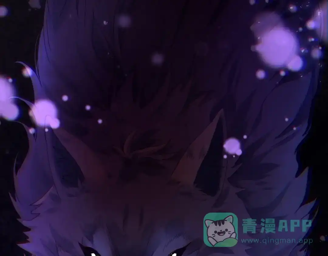 第282页
