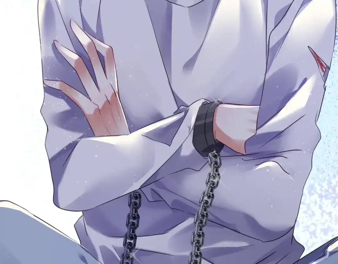 第278页