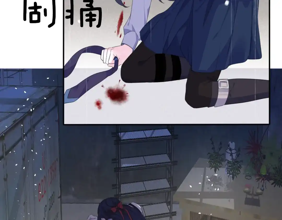 第246页