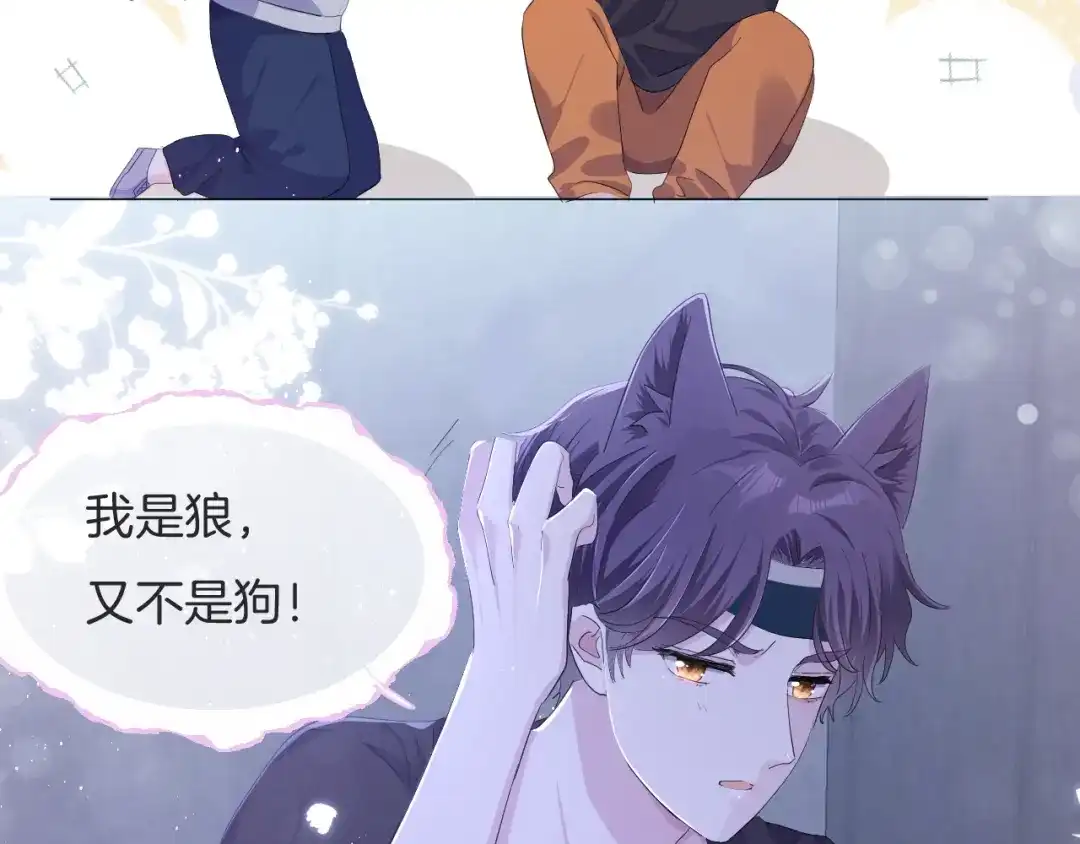 第116页