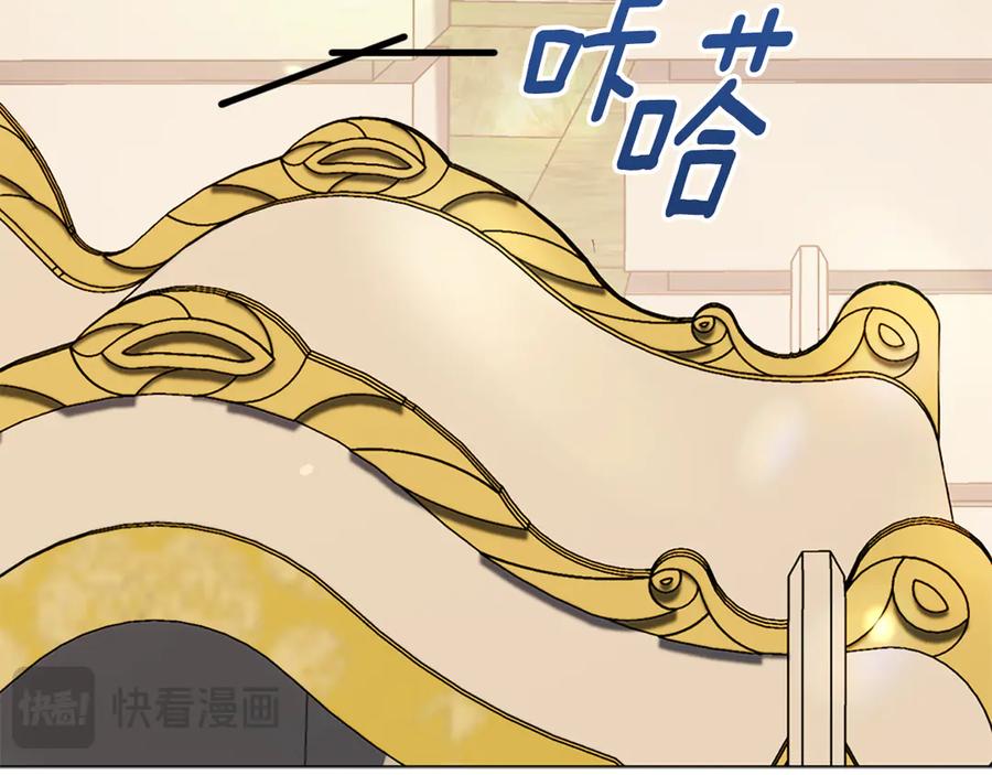 第231页