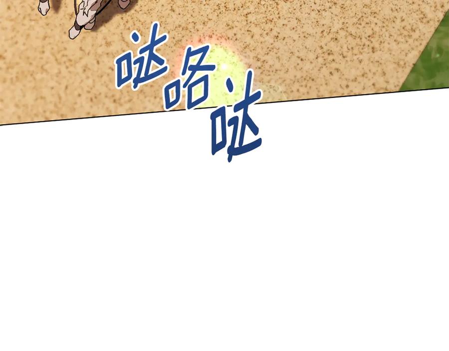 第235页