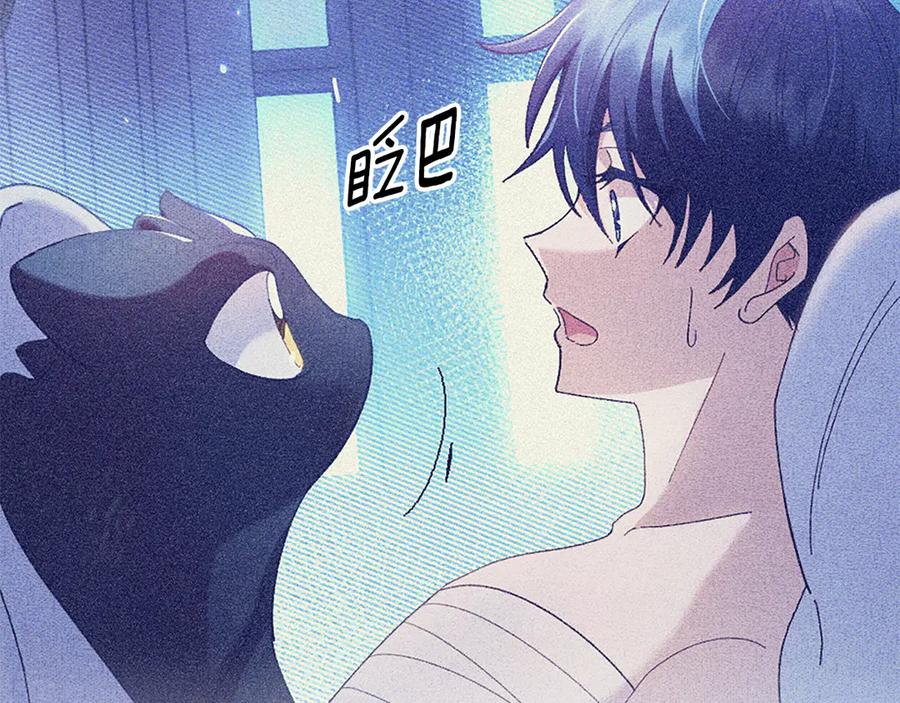 第207页