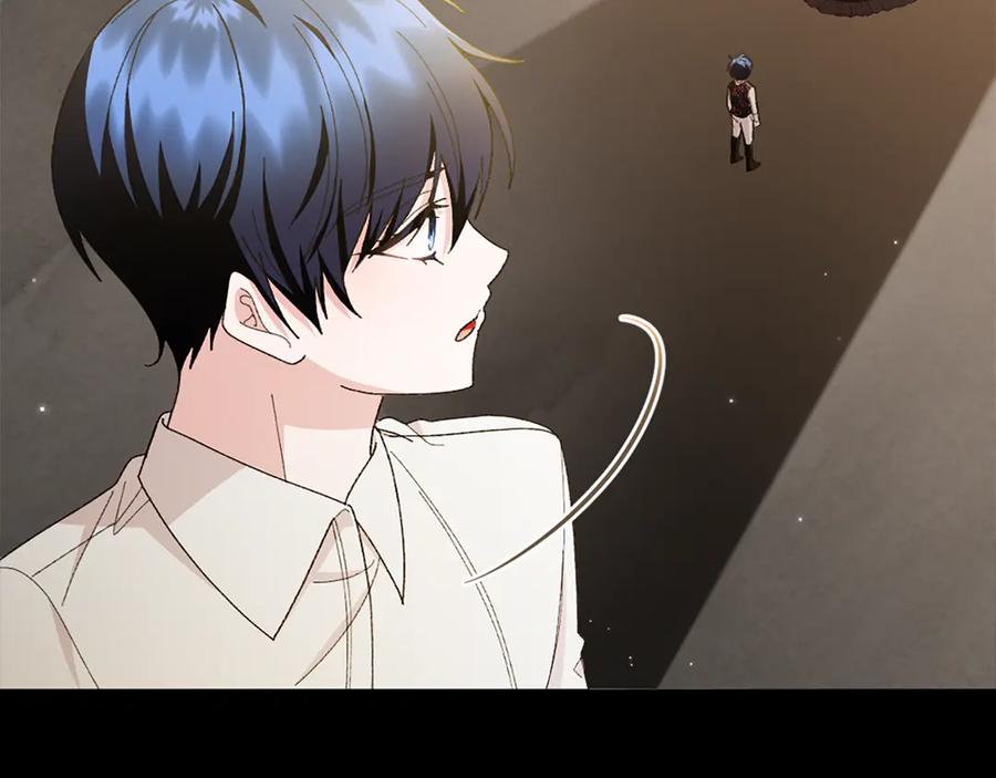 第223页