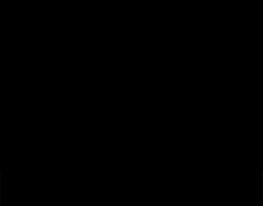 第224页