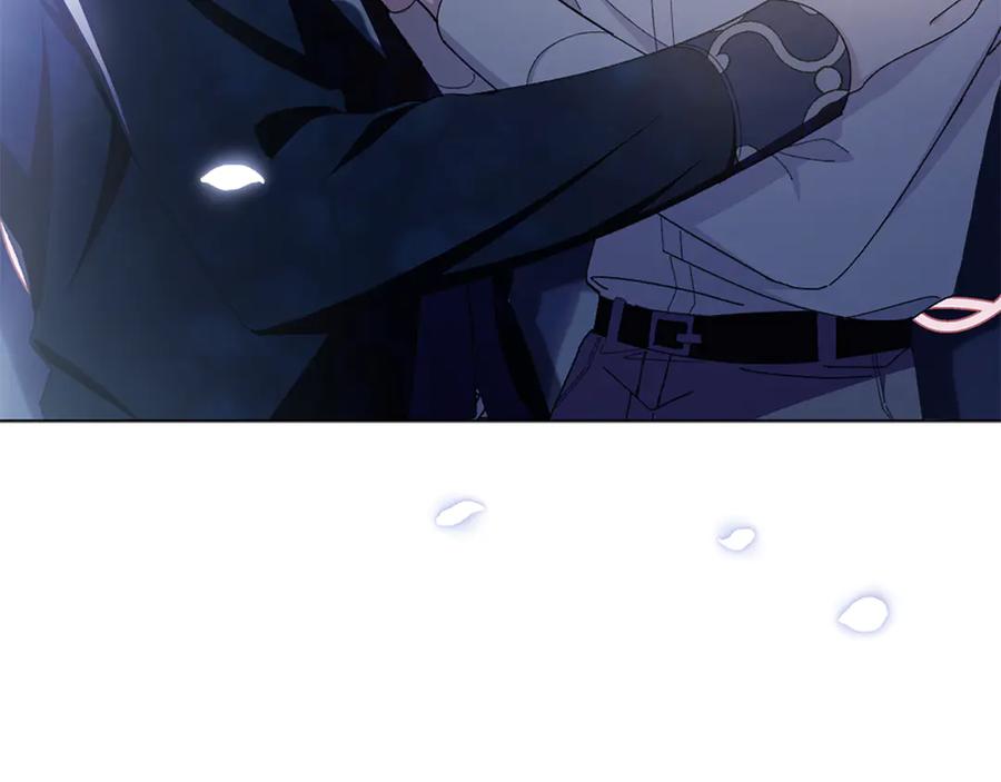 第239页