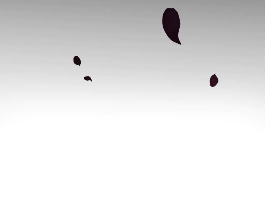 第231页