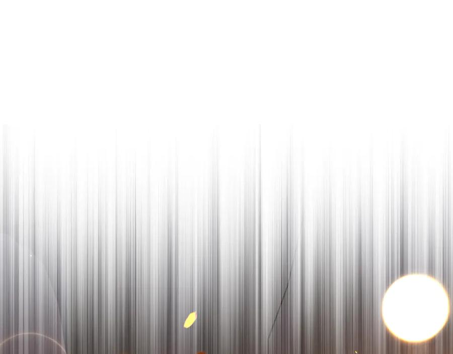 第223页
