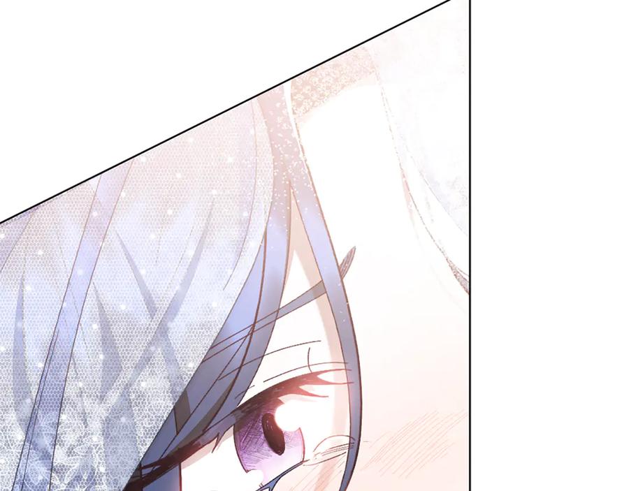 第223页
