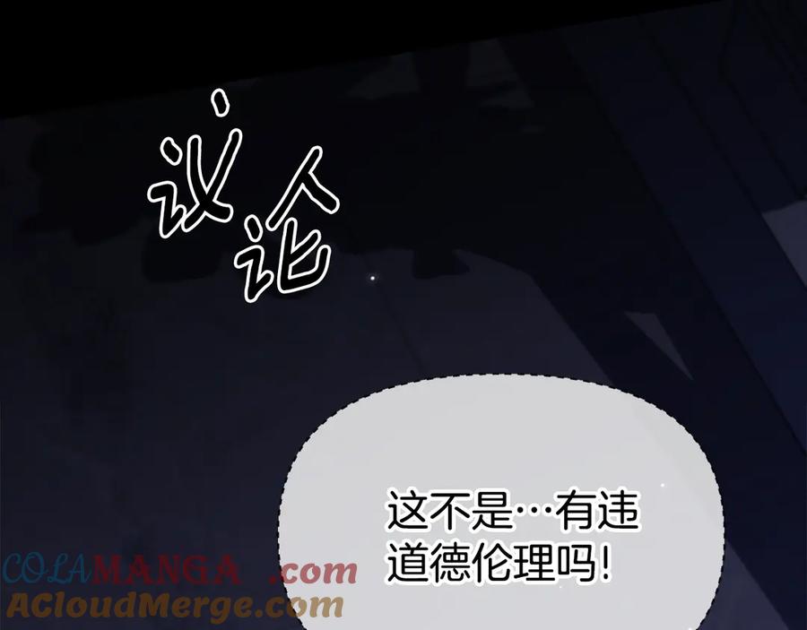 第213页