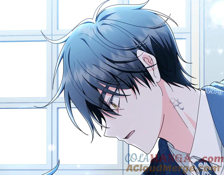 第216页