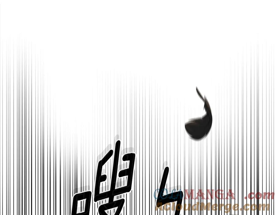 第217页