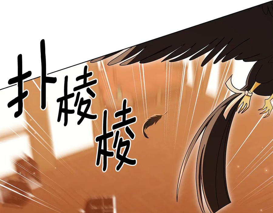 第231页