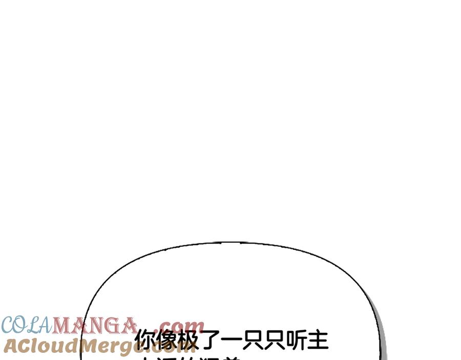 第205页