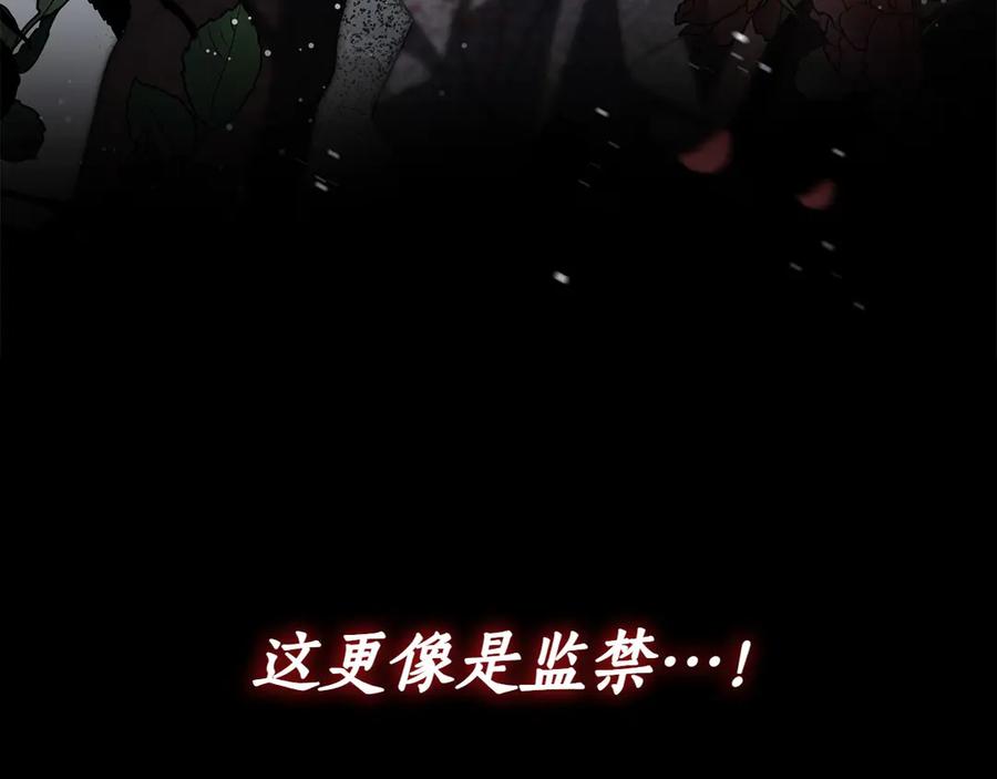 第243页