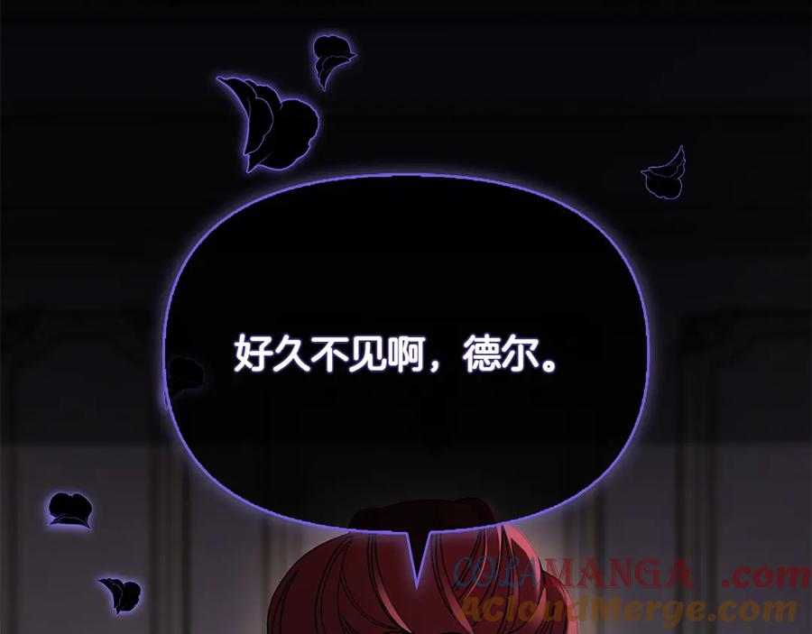 第205页