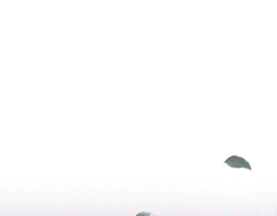 第203页