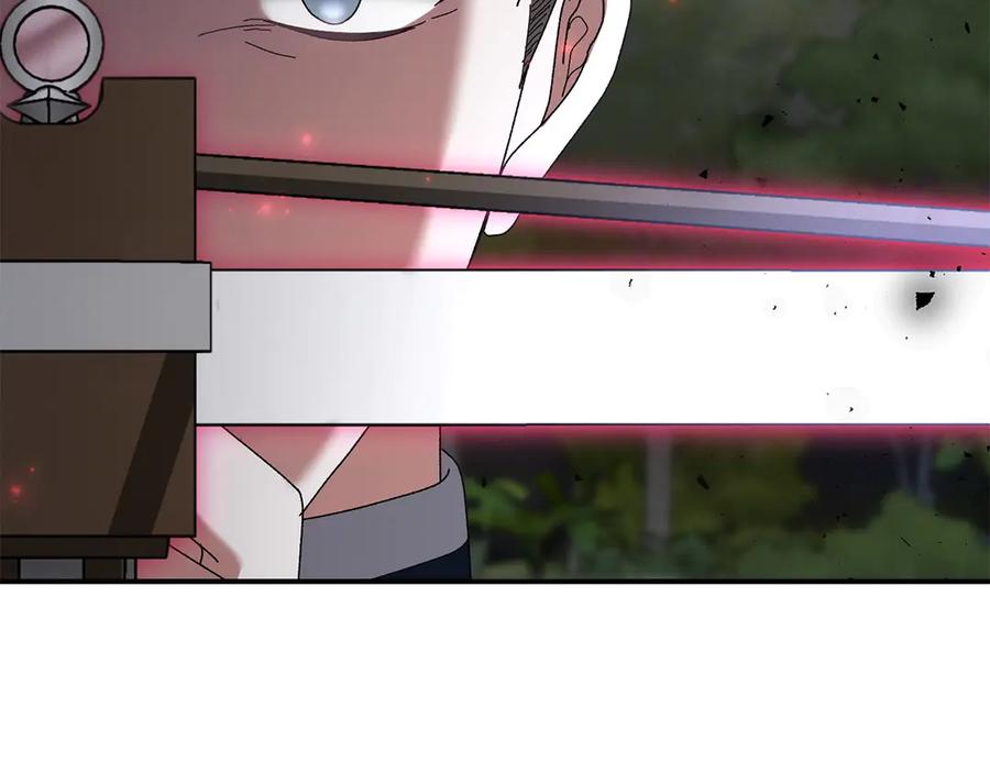 第223页