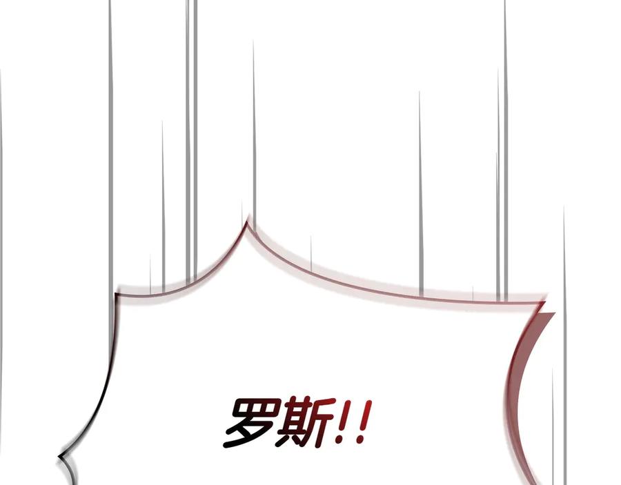 第247页