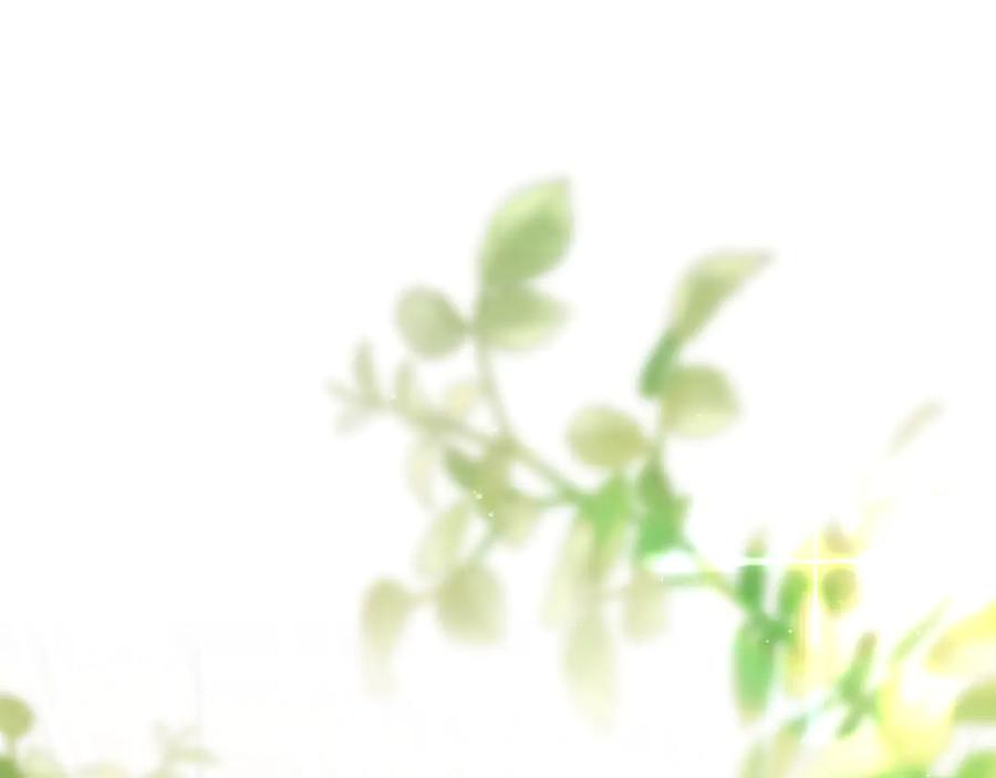 第215页