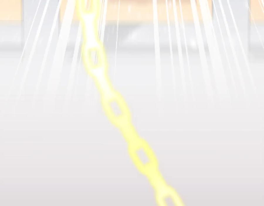 第219页